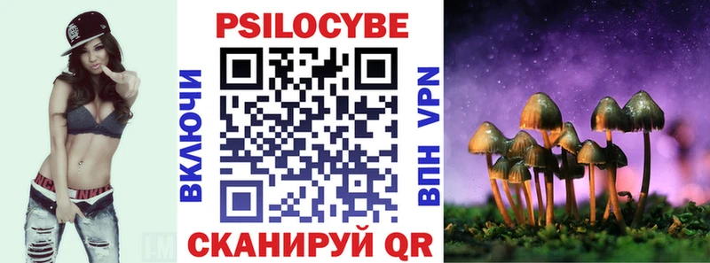 Псилоцибиновые грибы Cubensis  Купить где  Вилючинск 